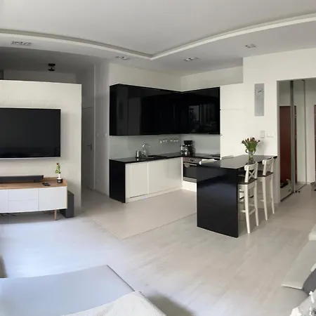 Panoramiczne Studio Z Widokiem Na Ogrod * Poznań